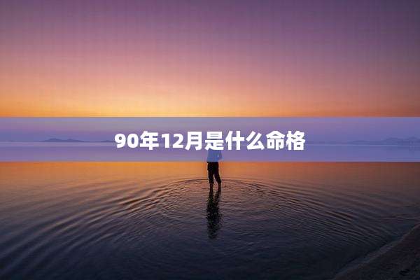 90年12月是什么命格