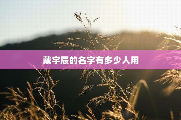 戴宇辰的名字有多少人用