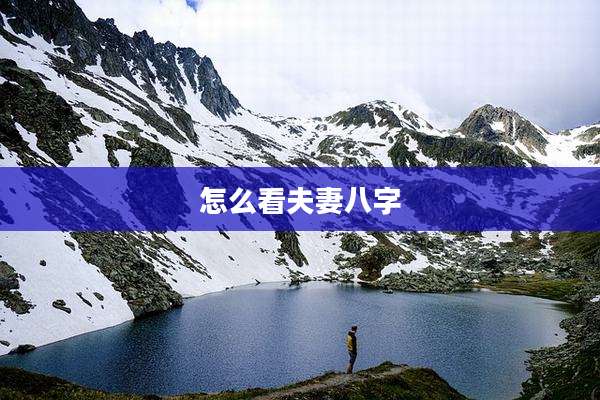 怎么看夫妻八字
