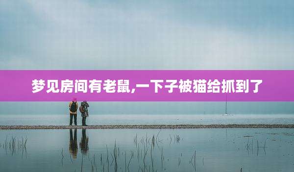 梦见房间有老鼠,一下子被猫给抓到了