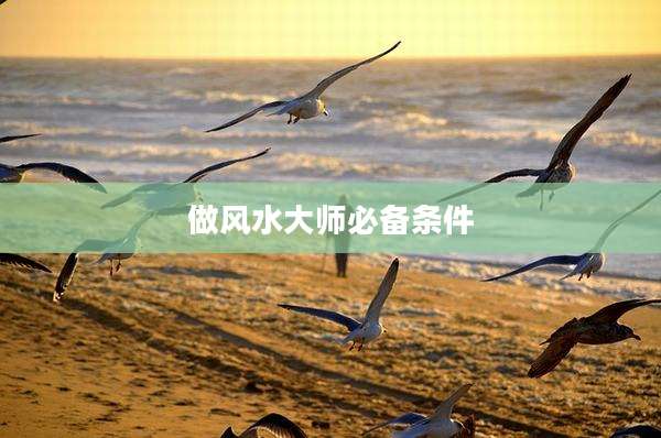 做风水大师必备条件