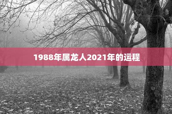 1988年属龙人2021年的运程