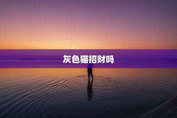 灰***招财吗