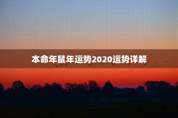 本命年鼠年运势2020运势详解