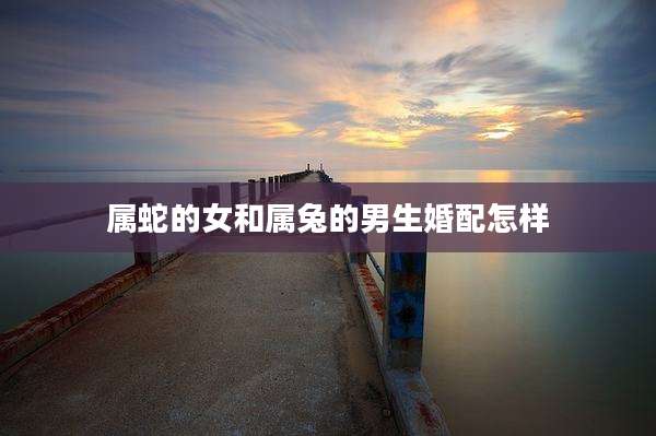 属蛇的女和属兔的男生婚配怎样