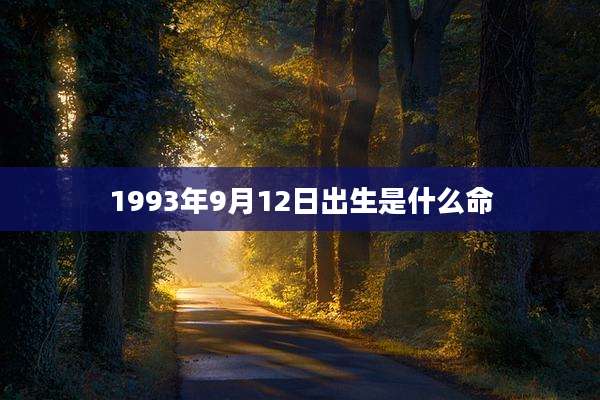 1993年9月12日出生是什么命