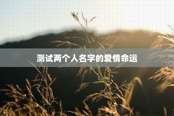 测试两个人名字的爱情命运