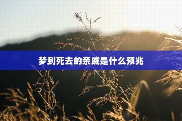 梦到死去的亲戚是什么预兆