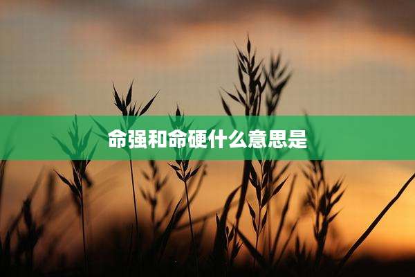 命强和命硬什么意思是