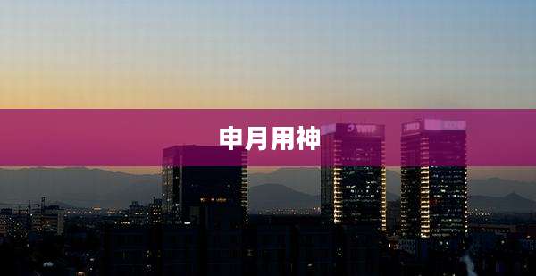 申月用神