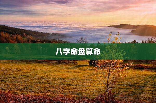 八字命盘算命