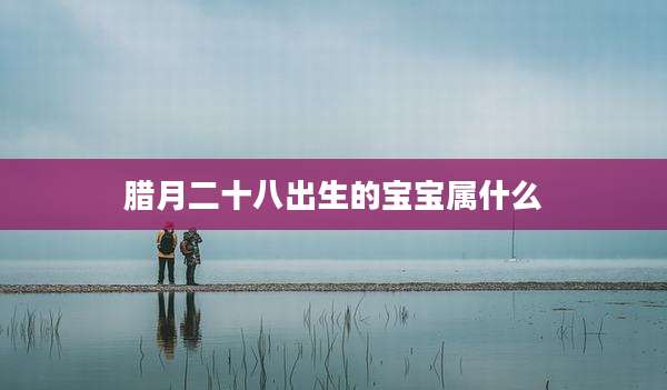 腊月二十八出生的宝宝属什么