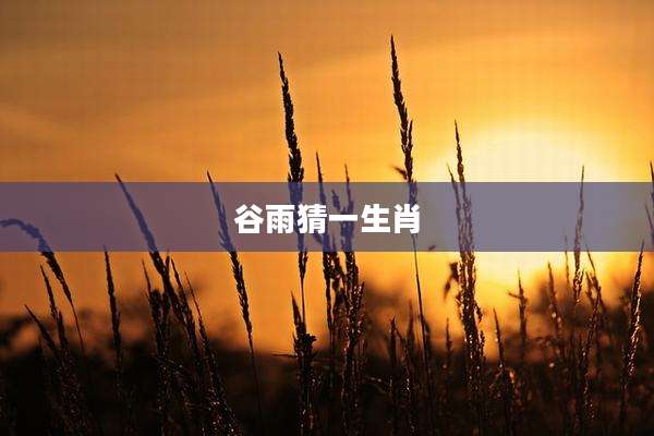 谷雨猜一生肖