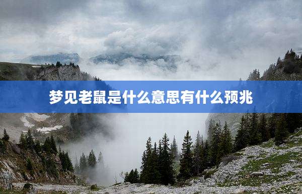 梦见老鼠是什么意思有什么预兆
