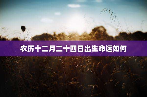 农历十二月二十四日出生命运如何