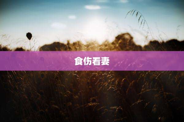 食伤看妻
