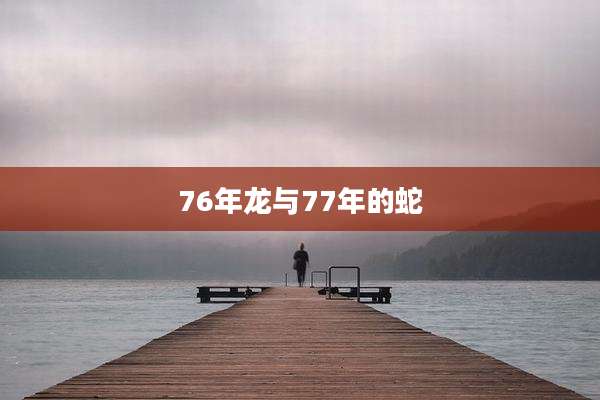 76年龙与77年的蛇