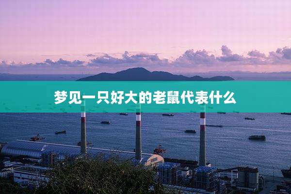 梦见一只好大的老鼠代表什么