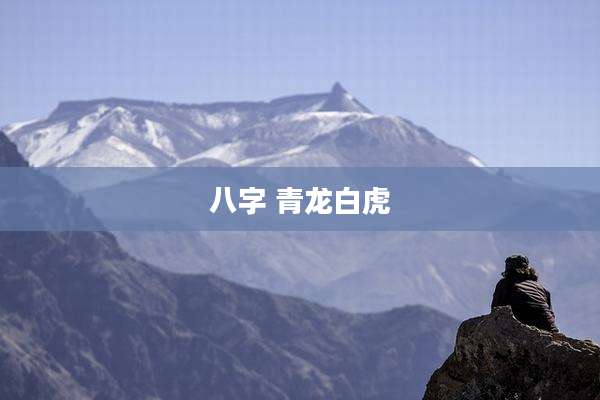 八字 青龙白虎