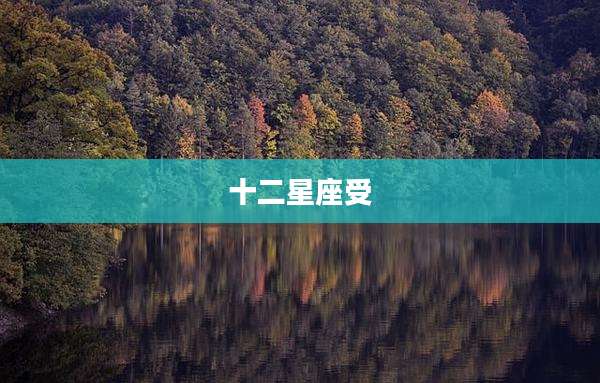 十二星座受