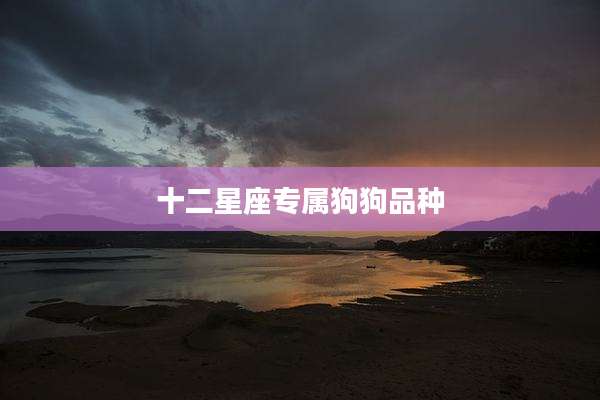 十二星座专属狗狗品种