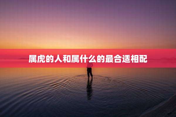 属虎的人和属什么的最合适相配
