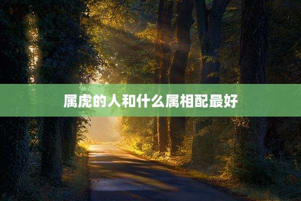 属虎的人和什么属相配最好