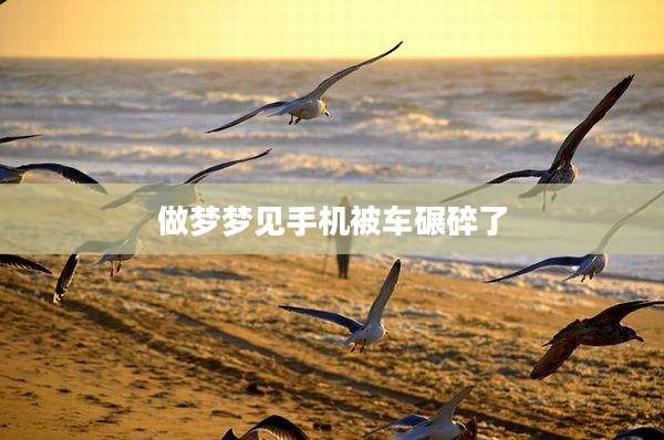 做梦梦见手机被车碾碎了