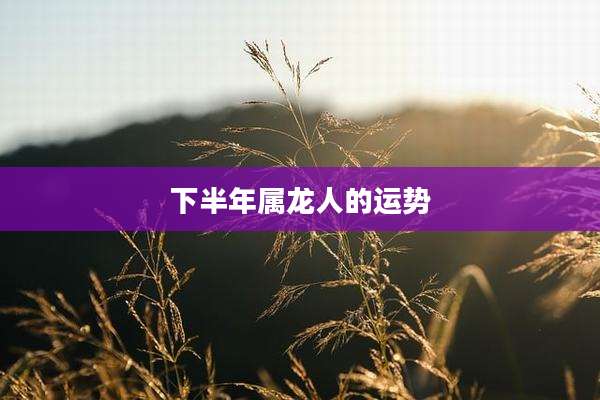 下半年属龙人的运势