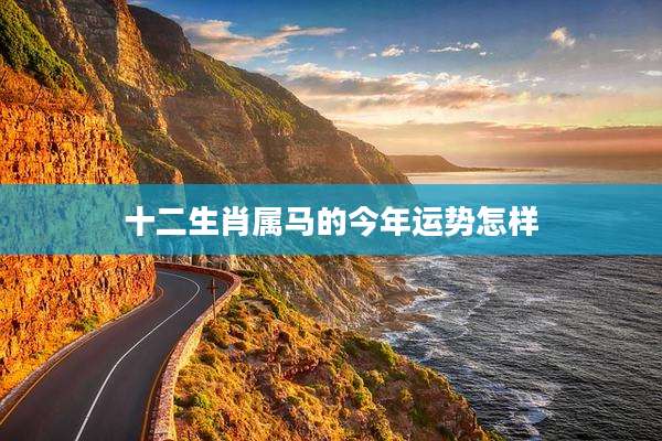 十二生肖属马的今年运势怎样