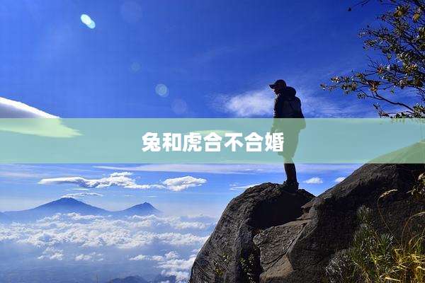 兔和虎合不合婚