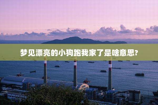 梦见漂亮的小狗跑我家了是啥意思?