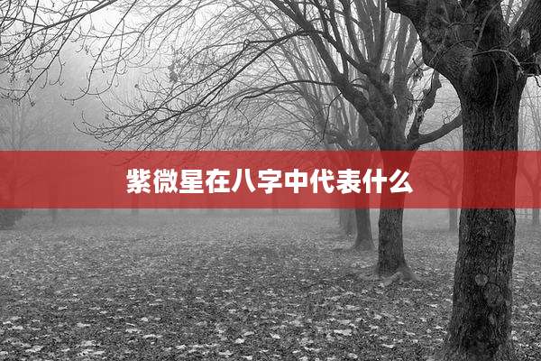 紫微星在八字中代表什么