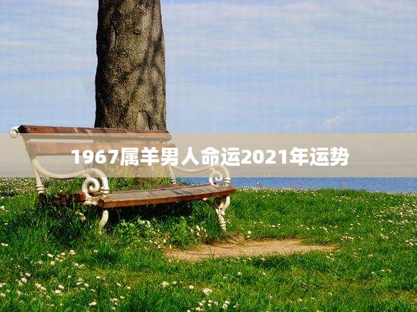1967属羊男人命运2021年运势