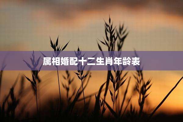 属相婚配十二生肖年龄表