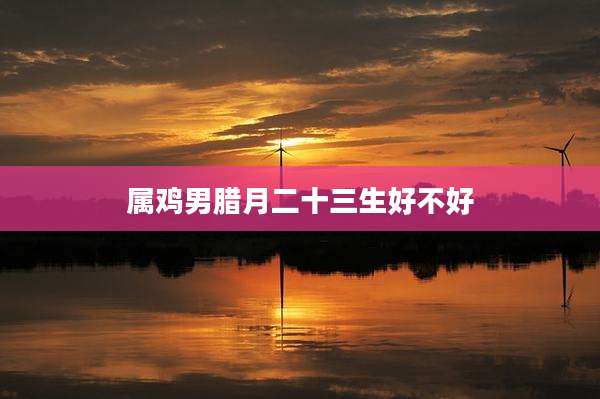 属鸡男腊月二十三生好不好