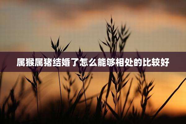 属猴属猪结婚了怎么能够相处的比较好