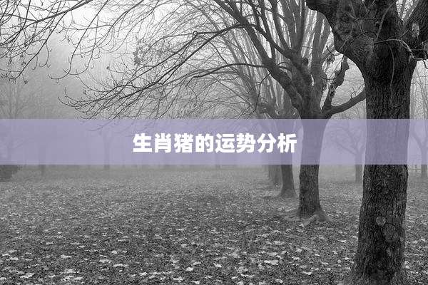 生肖猪的运势分析