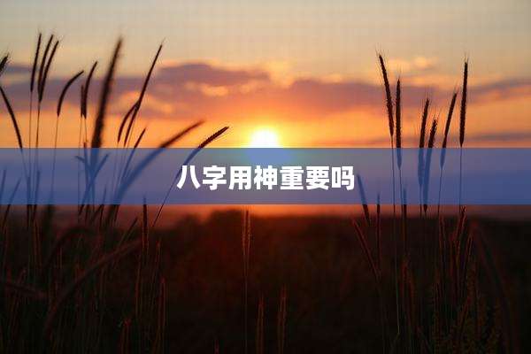 八字用神重要吗