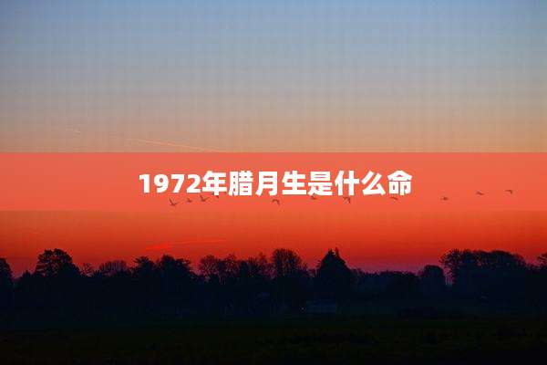 1972年腊月生是什么命