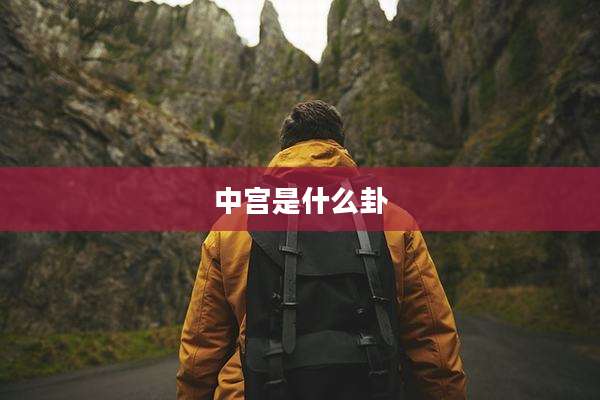 中宫是什么卦