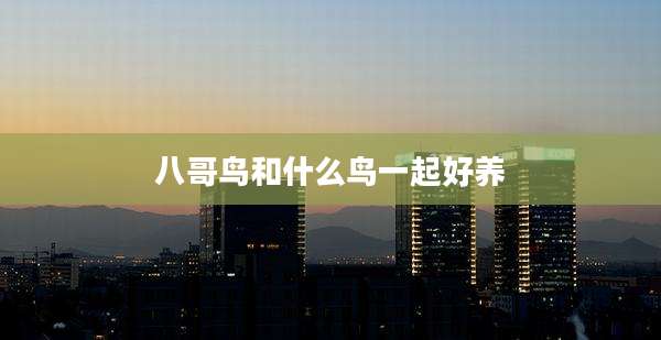 八哥鸟和什么鸟一起好养