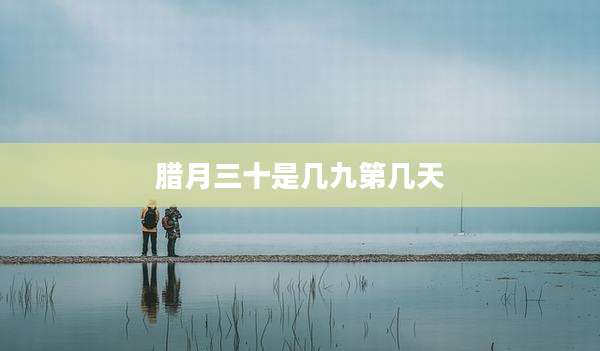 腊月三十是几九第几天