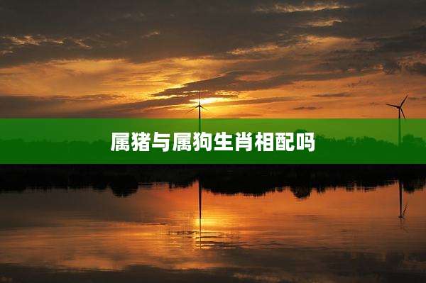 属猪与属狗生肖相配吗