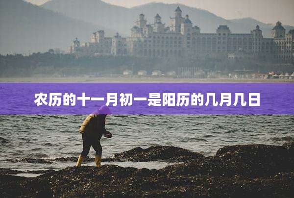 农历的十一月初一是阳历的几月几日