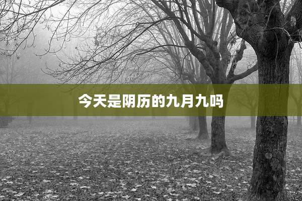 今天是阴历的九月九吗
