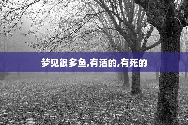 梦见很多鱼,有活的,有死的