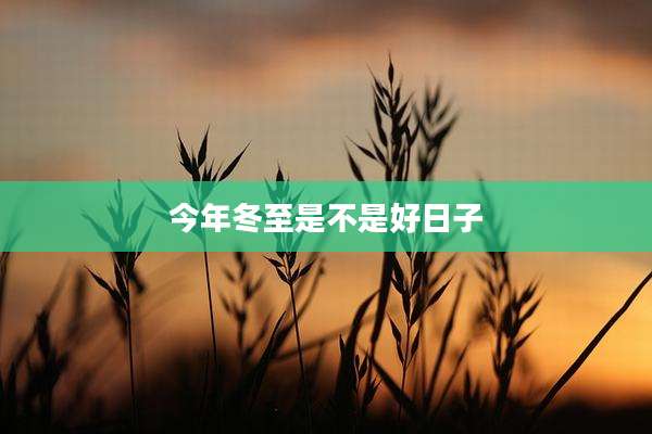 今年冬至是不是好日子
