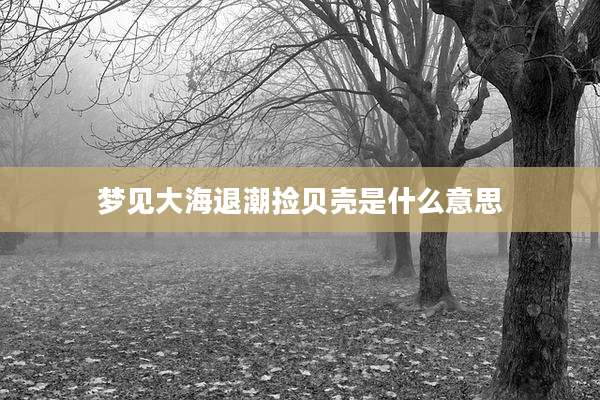 梦见大海退潮捡贝壳是什么意思
