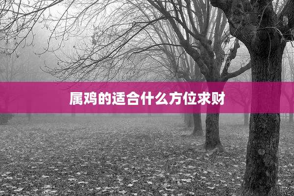 属鸡的适合什么方位求财